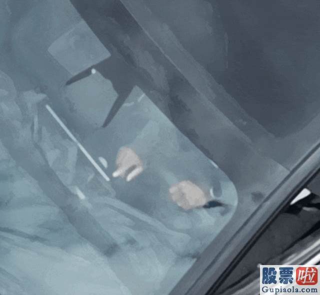 机构预测大盘走势-一位网友用无人机拍照了特斯拉中国上海超级工厂的现状