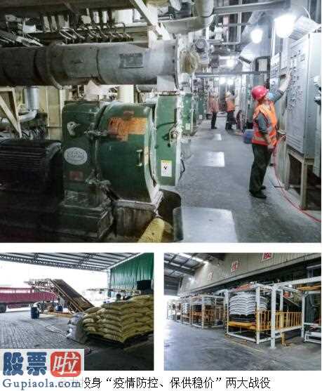 中国股市新闻头条：康达尔旗下三大公司获批“民生保供企业”资质｜资本市场 同心抗疫