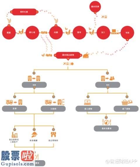 股票上市公司要闻 新股解读 | 消费业务加码撞上行业进展机会，凤祥股份爆发已基础确定?