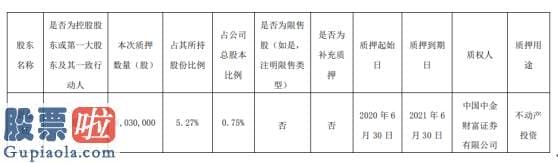今日股市新闻有哪些-顺络电子股东袁金钰质押603万股用于不动产投资