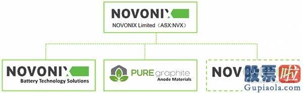美股最大个人投资者-缺席的百万英里电池和藏在后面的NOVONIX
