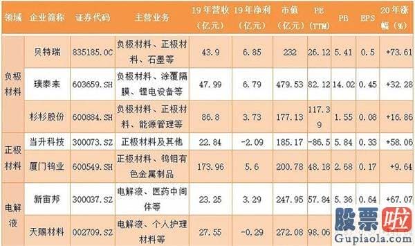 美股最大个人投资者-缺席的百万英里电池和藏在后面的NOVONIX