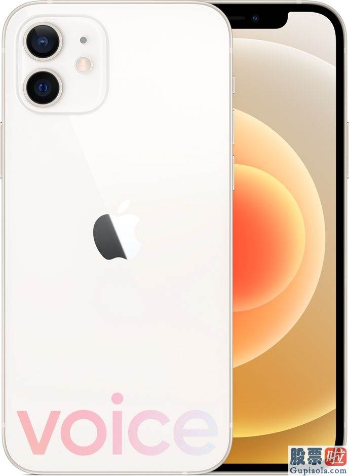 投资美股渠道 苹果iPhone 12 Pro/Max渲染图泄露：蓝色、石墨、金色、银色