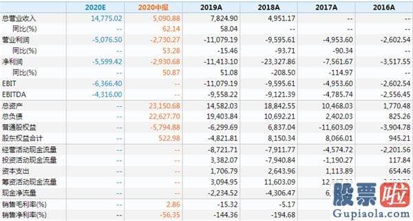 国内投资美股 群体：蔚来、理想和小鹏被高估了吗？