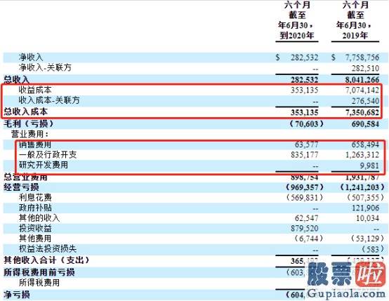 美股对外国人投资限制_宠物经济发展蓝海一片，可天地荟(PETZ.US)交出营收下滑超9成的中期“成果单”